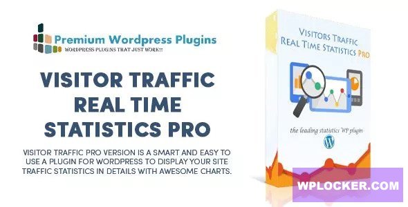 Visitor Traffic Real Time Statistics Pro v11.5
